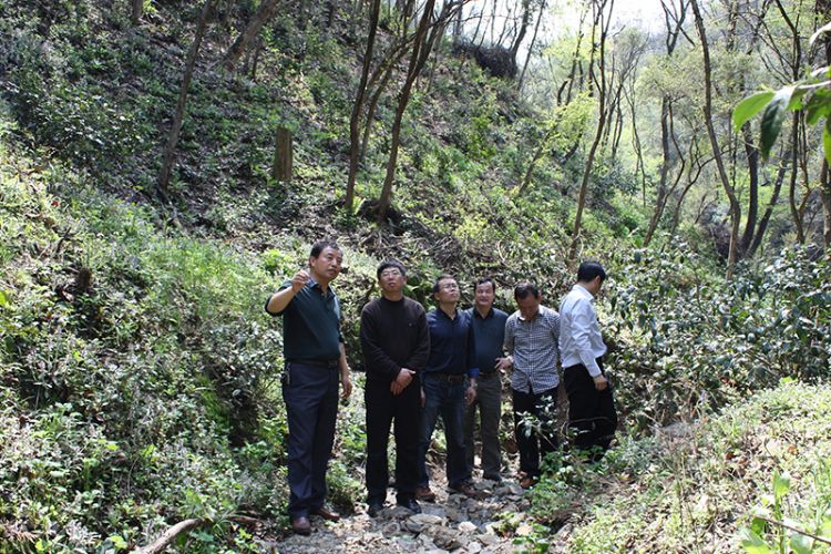 1472005297282804.jpg 副市長(zhǎng)吳文達(dá)2.jpg