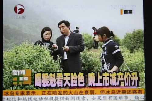 安徽電視臺(tái)談今年的猴魁茶.jpg 安徽電視臺(tái)談今年的猴魁茶.jpg