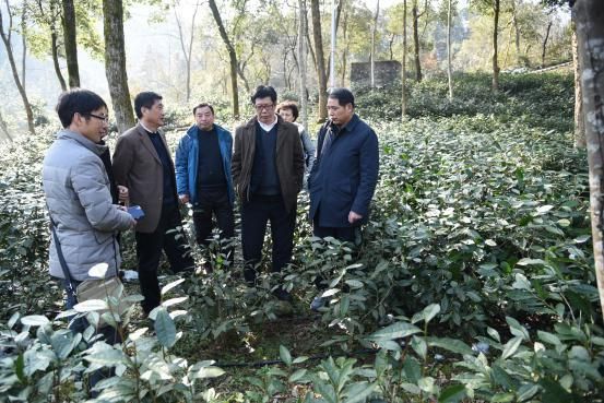 宛曉春一行到桃源基地考察.jpg 宛曉春一行到桃源基地考察.jpg