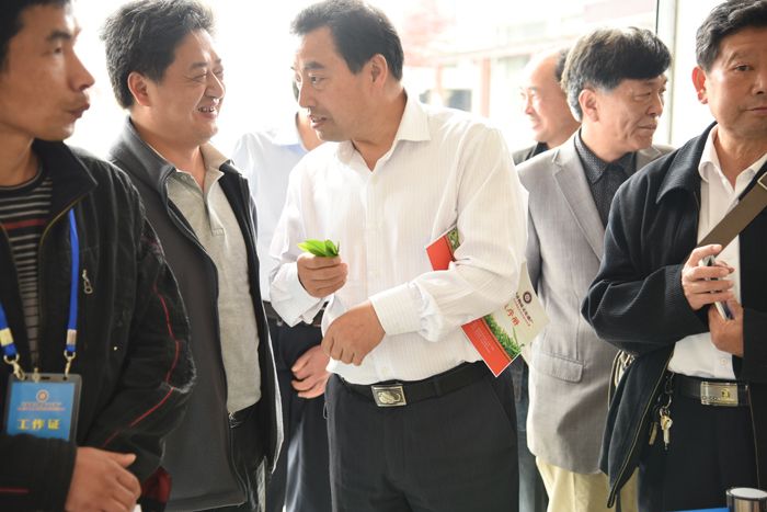 首屆太平猴魁茶制作技師大賽.jpg 首屆太平猴魁茶制作技師大賽.jpg