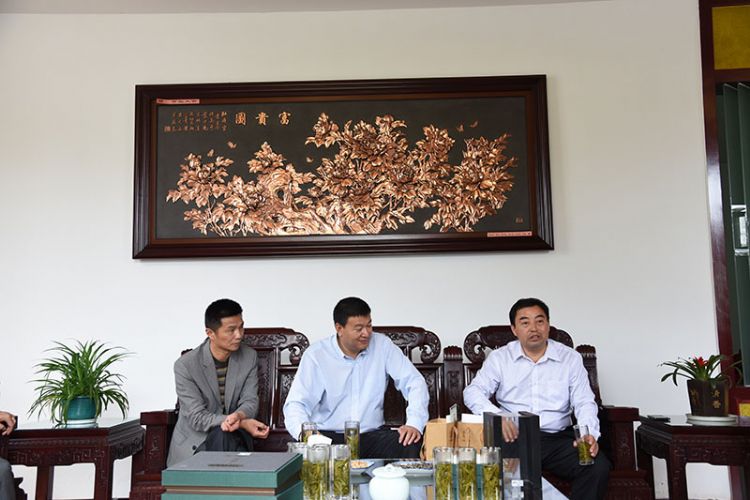 國(guó)藥集團(tuán)安徽公司總經(jīng)理張平一行考察六百里茶業(yè).jpg