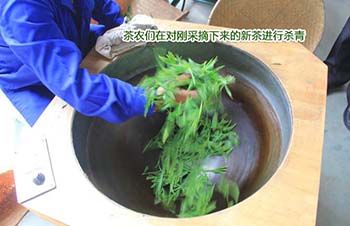 1471492756497361.jpg 徽主流媒體走進2.jpg